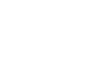 Electric VECTOR Mini